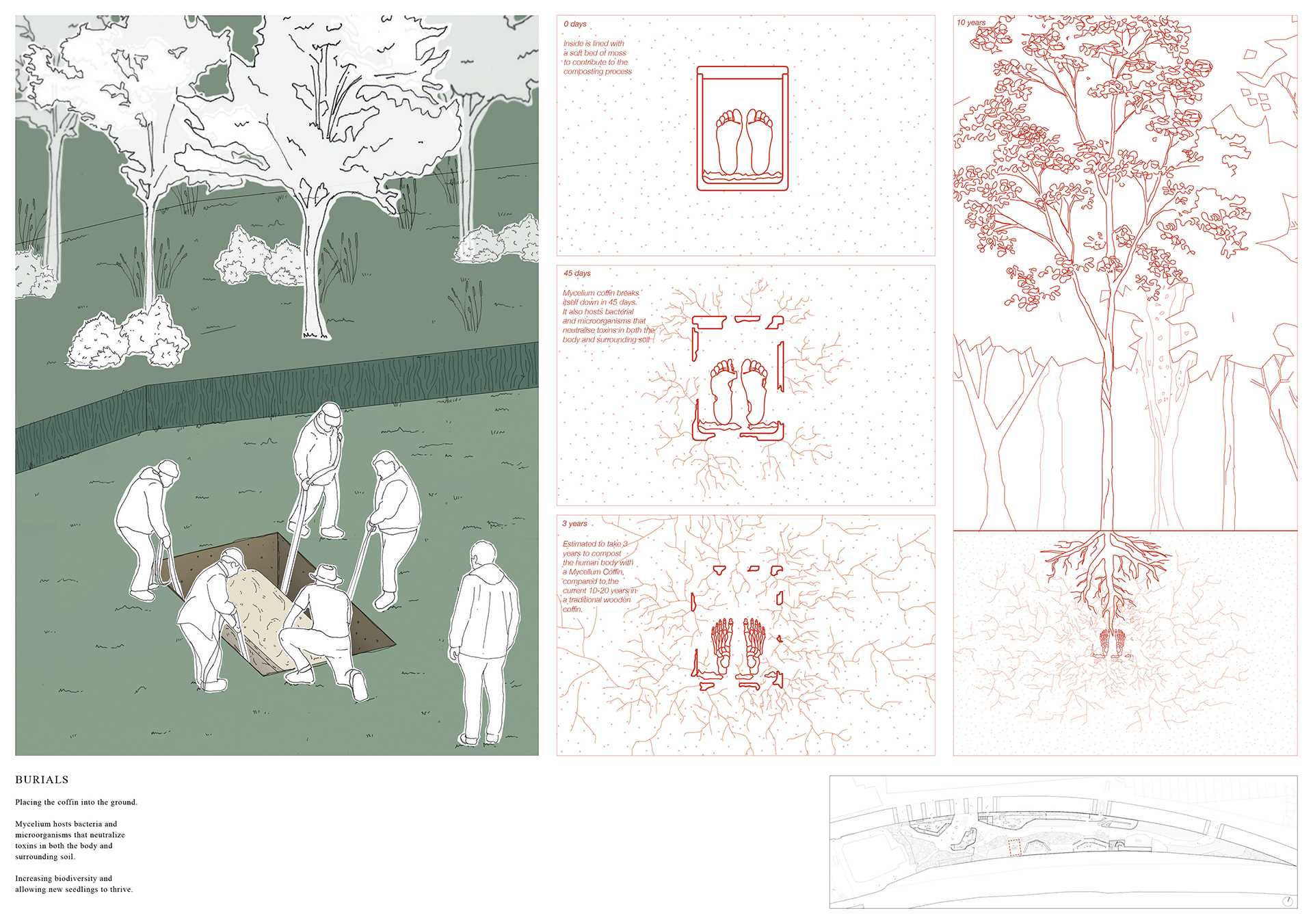 Rethinking Ritual: A Sustainable Approach to Death