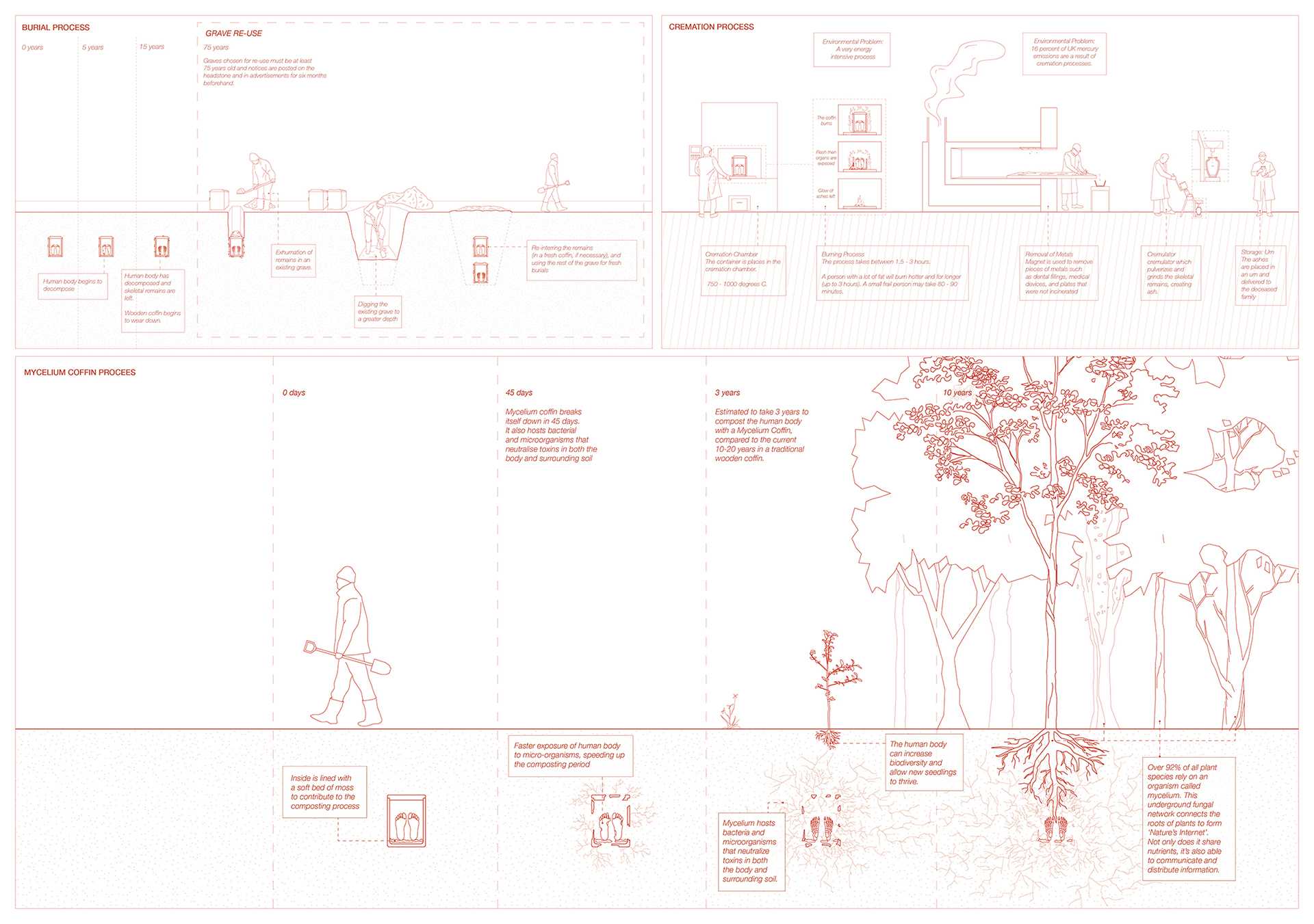 Rethinking Ritual: A Sustainable Approach to Death